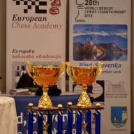 World Senior Chess Championship 2018 – report after round 9
